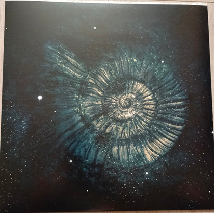 Nightwish &ndash; Endless Forms Most Beautiful - фото 10