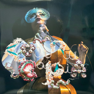 Björk – Cornucopia Live