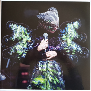 Björk – Vulnicura Live