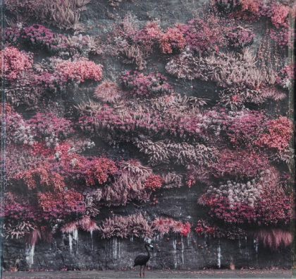 Sleep Token – Even In Arcadia - фото 4 Sleep Token – Even In Arcadia - фото 4