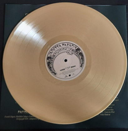 Vanessa Paradis &ndash; Divinidylle Tour - фото 3