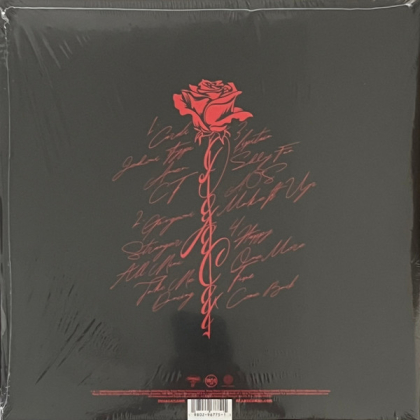 Doja Cat &ndash; Vie - фото 2