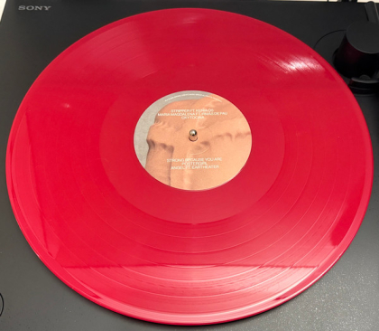 Sevdaliza &ndash; Heroina - фото 4