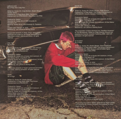Lil Peep – California Girls - фото 6 Lil Peep – California Girls - фото 6