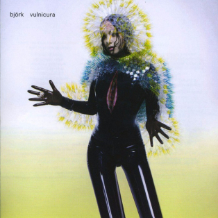 Björk – Vulnicura