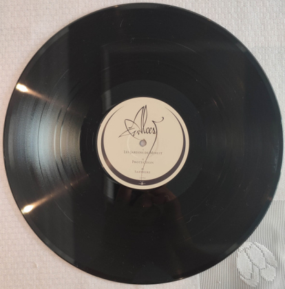 Alcest – Spiritual Instinct - фото 3 Alcest – Spiritual Instinct - фото 3