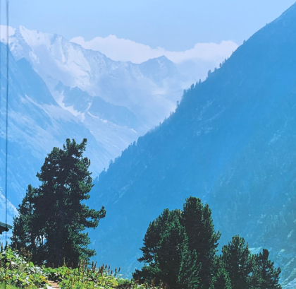 Goldfrapp &ndash; Felt Mountain - фото 6