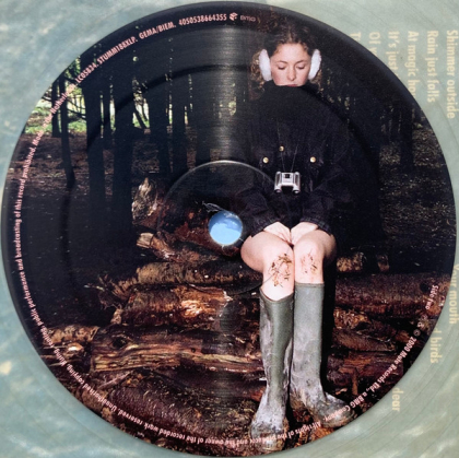 Goldfrapp &ndash; Felt Mountain - фото 10