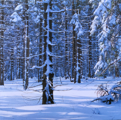 Goldfrapp &ndash; Felt Mountain - фото 7