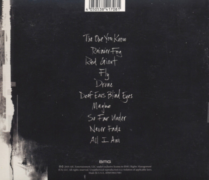 Alice In Chains &ndash; Rainier Fog - фото 2