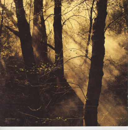 Band Of Horses – Mirage Rock - фото 5 Band Of Horses – Mirage Rock - фото 5