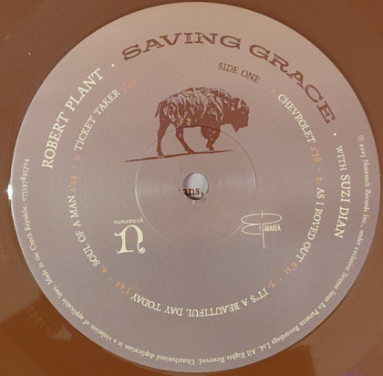 Robert Plant With Suzi Dian &ndash; Saving Grace - фото 6