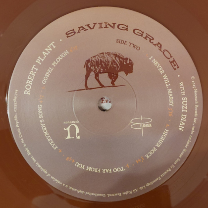 Robert Plant With Suzi Dian &ndash; Saving Grace - фото 7