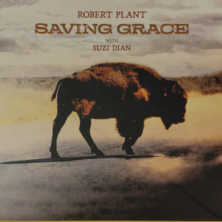 Robert Plant With Suzi Dian – Saving Grace