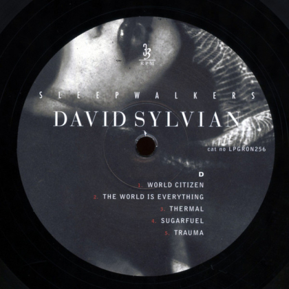 David Sylvian &ndash; Sleepwalkers - фото 10