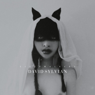 David Sylvian – Sleepwalkers