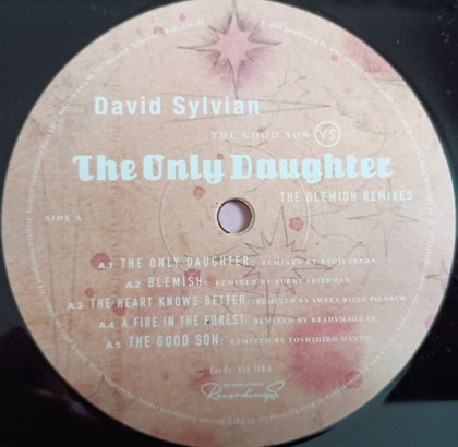 David Sylvian – The Good Son Vs The Only Daughter - The Blemish Remixes - фото 6 David Sylvian – The Good Son Vs The Only Daughter - The Blemish Remixes - фото 6