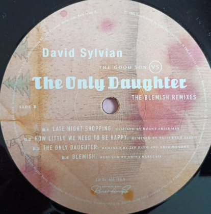 David Sylvian – The Good Son Vs The Only Daughter - The Blemish Remixes - фото 7 David Sylvian – The Good Son Vs The Only Daughter - The Blemish Remixes - фото 7