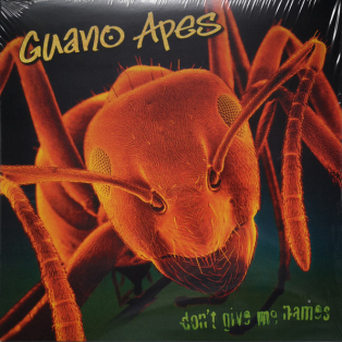 Guano Apes – Don't Give Me Names