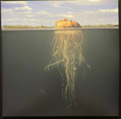 The Mars Volta &ndash; De-Loused In The Comatorium - фото 1