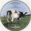 Pink Floyd &ndash; Atom Heart Mother - фото 3