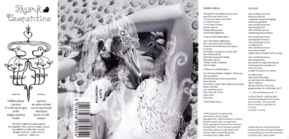 Björk – Vespertine - фото 5 Björk – Vespertine - фото 5