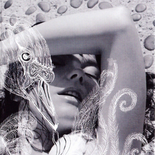 Björk – Vespertine