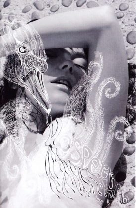 Björk – Vespertine - фото 1 Björk – Vespertine - фото 1
