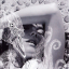 Björk – Vespertine - фото 1 Björk – Vespertine - фото 1