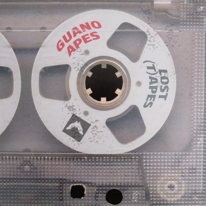 Guano Apes &ndash; Lost T Apes - фото 1