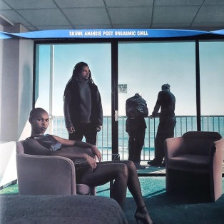 Skunk Anansie – Post Orgasmic Chill