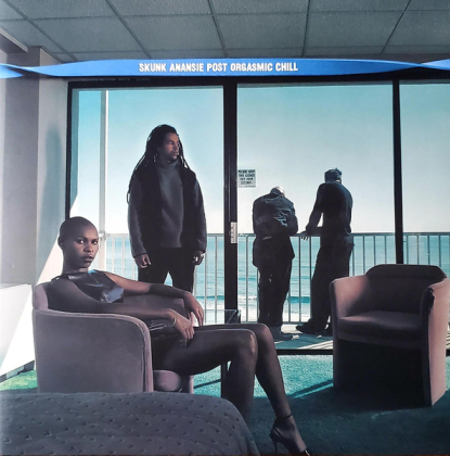 Skunk Anansie &ndash; Post Orgasmic Chill - фото 1