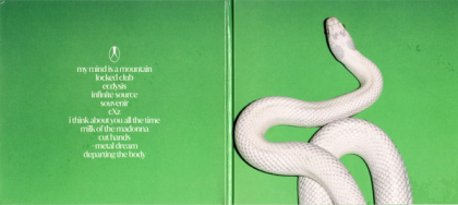 Deftones &ndash; Private Music - фото 4