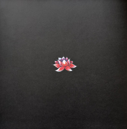 Grinderman &ndash; Grinderman 2 - фото 4