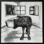 Grinderman &ndash; Grinderman 2 - фото 3