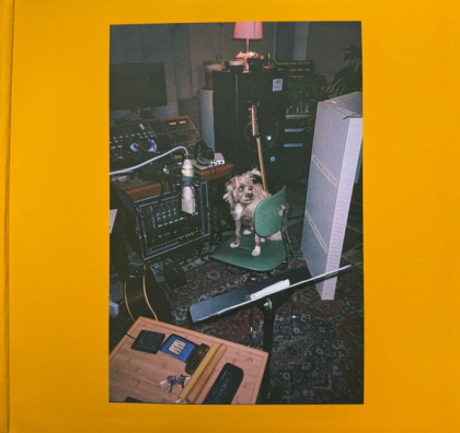 Mac Demarco &ndash; Guitar - фото 4