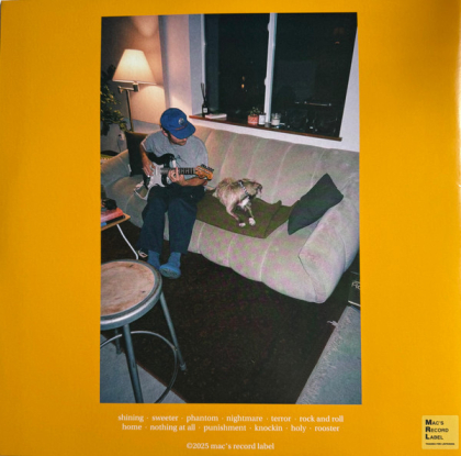 Mac Demarco &ndash; Guitar - фото 2