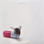 Red Hot Chili Peppers &ndash; I'm With You - фото 1