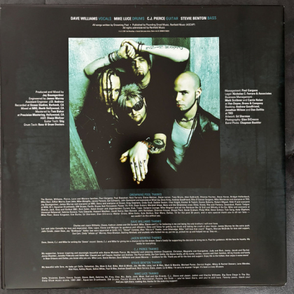 Drowning Pool – Sinner - фото 4 Drowning Pool – Sinner - фото 4