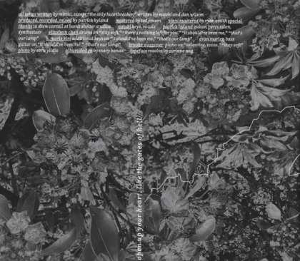 Mitski &ndash; Laurel Hell - фото 7