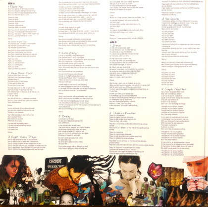 Alanis Morissette &ndash; The Collection - фото 5