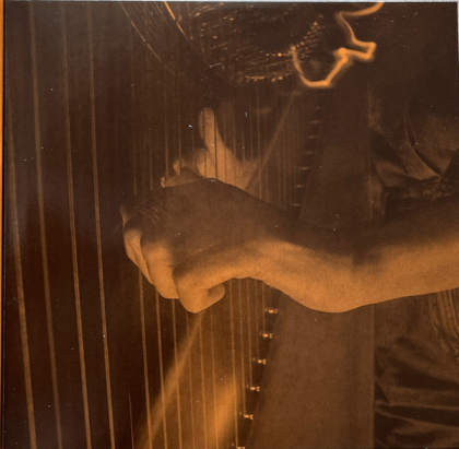 Alina Bzhezhinska &amp; HipHarpCollective &ndash; Reflections - фото 5
