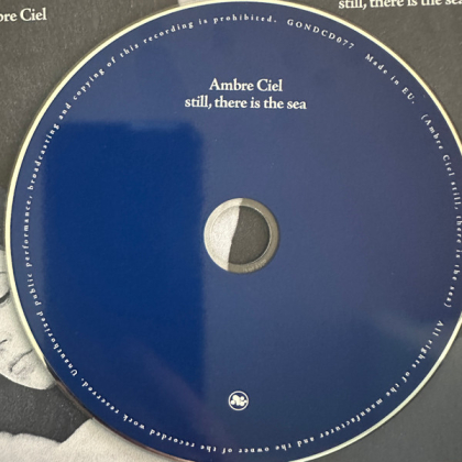 Ambre Ciel &ndash; Still, There Is The Sea - фото 3