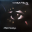 The Steve Miller Band – Abracadabra - фото 1 The Steve Miller Band – Abracadabra - фото 1