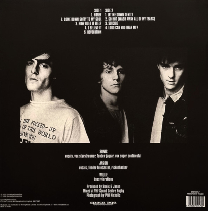 Spacemen 3 &ndash; Playing With Fire - фото 2