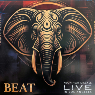 Beat – Neon Heat Disease Live In Los Angeles
