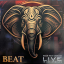 Beat – Neon Heat Disease Live In Los Angeles - фото 1 Beat – Neon Heat Disease Live In Los Angeles - фото 1