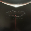 Muse – The Wow! Signal - фото 1 Muse – The Wow! Signal - фото 1