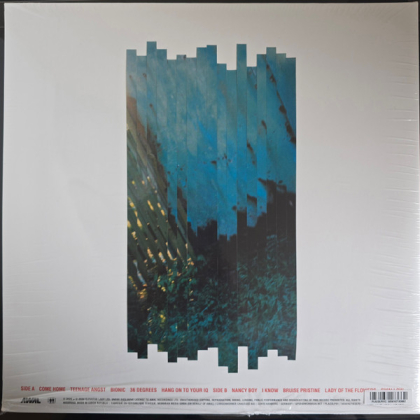 Placebo &ndash; Re:Created - фото 2