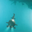 Gorillaz – Plastic Beach - фото 4 Gorillaz – Plastic Beach - фото 4